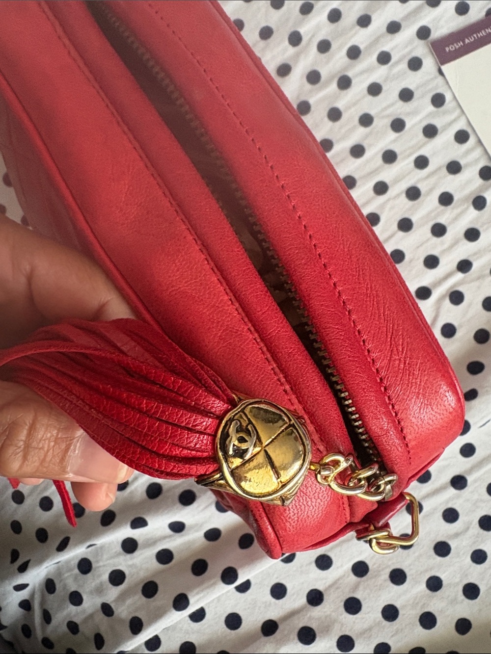CHANEL Quilted Lambskin Leather Crossbody Camera Bag with Tassel and Gold Chain - Picture 8 of 17
